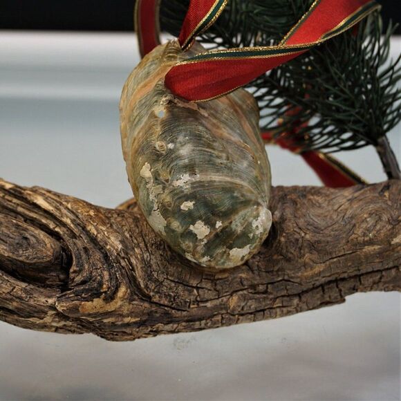 Vintage Christmas Shell Ornament Nativity Scene Diorama In Oyster Shell - Picture 2 of 7